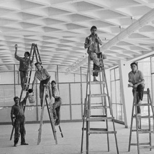 WhatsApp Image 2026 03 31 at 14.45.52